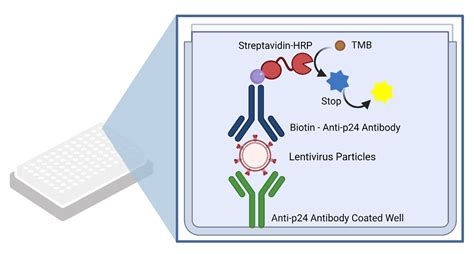 lentivirus p24 elisa kit